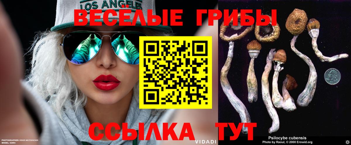 Галлюциногенные грибы MAGIC MUSHROOMS Кропоткин