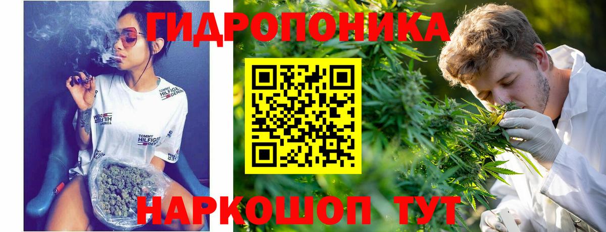 Марихуана SATIVA & INDICA  Вход с VPN  Кропоткин  Бошки Шишки SATIVA & INDICA  Бошки марихуана сатива 